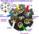 Fiche 7 poles remorque