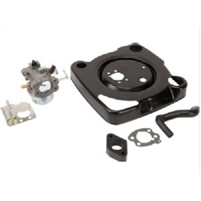 Carburateur en kit complet Briggs bi-cylindre remplace 808725, 847395, BS847395, 808725