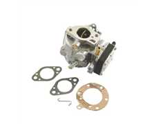 Carburateur complet Briggs et Stratton, 693480, BS693480, 495026, BS495026, BS-495026