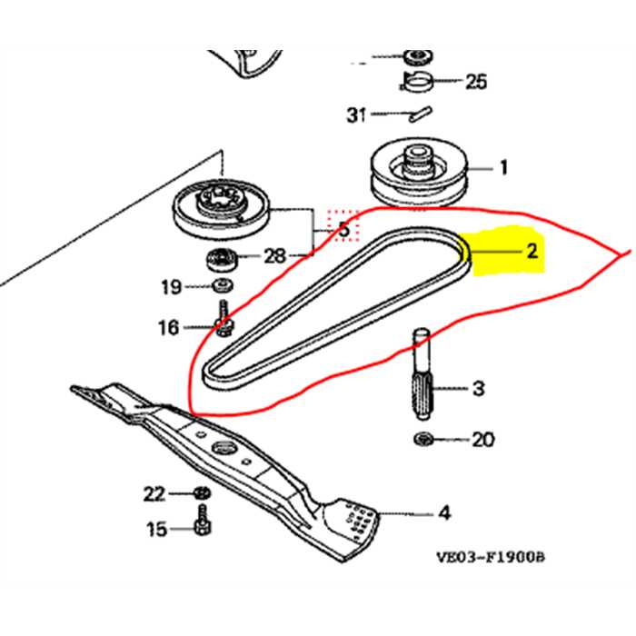 Courroie HONDA HRB476 hxe-sxe, 22431VE0800, 22431-VE0-800