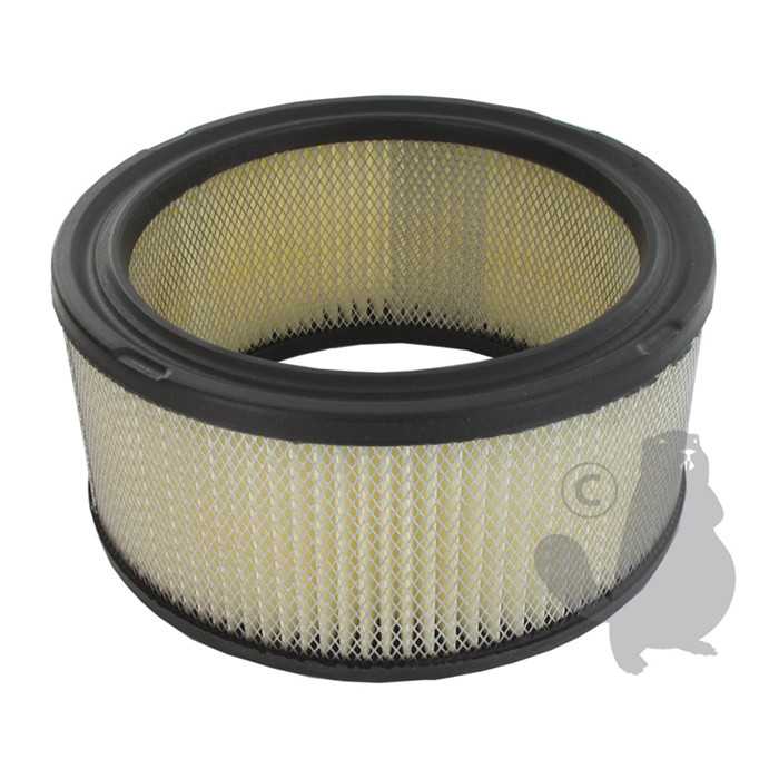 Filtre à air pour KOHLER. Remplace 271519 et 272042, 272042, 4109807, 410-9807, 271519