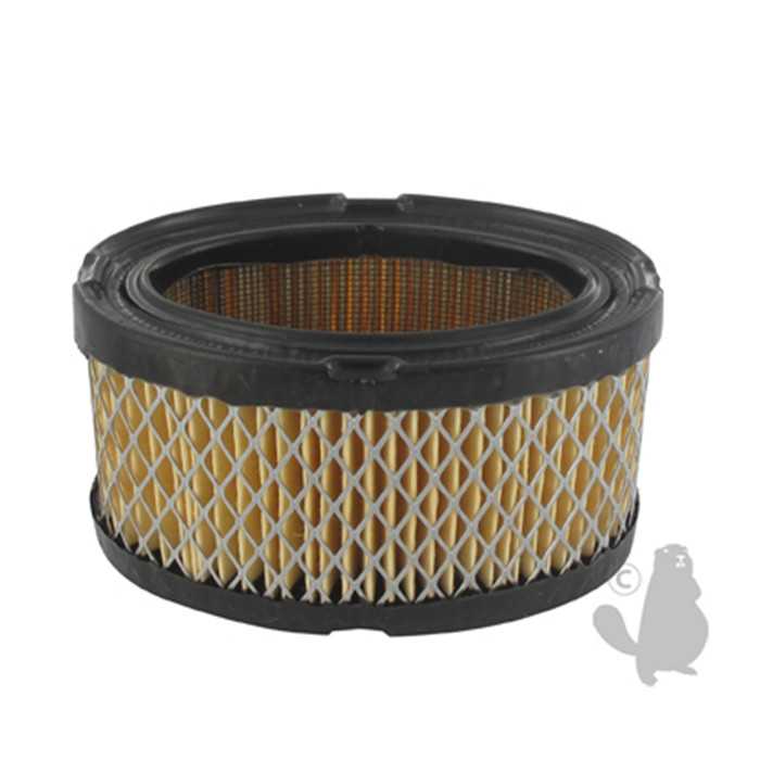 filtre a air TECUMSEH: HM70 H80 HM80 HM100 (7 8 et 10 ch), 4104618, 410-4618