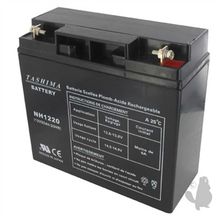 Batterie sèche e-tech 12v 20ah mod. Castel-garden SBA1812KR, SBA2212KR