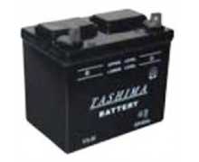 Batterie seche 12v - 24ah - 100a - + a droite, U1R9, U1R9KR