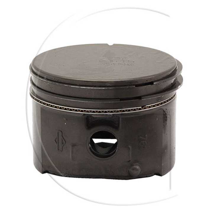 Piston kit, 795691, BS795691