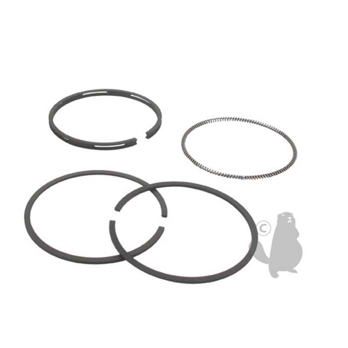 Jeu de segment adaptable pour BRIGGS et STRATTON QUANTUM 127000 à 129800. Remplace origine: 493261, 5707149, 570-7149