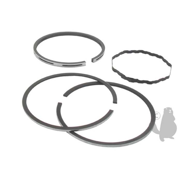 Jeu de segment adaptable pour BRIGGS et STRATTON 320420 à 320428 325430 à 325438 326400 à 326499 , 5707153, 570-7153