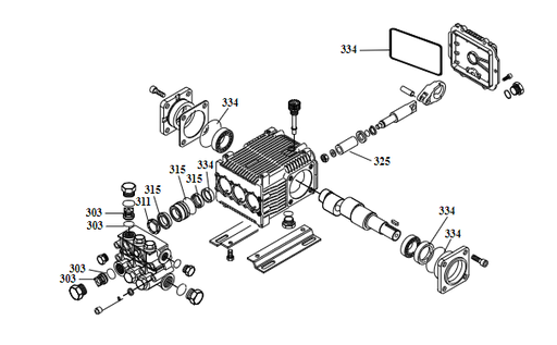 [G080516] Kit pompe complète Pramac PW3000, G080516, 080516