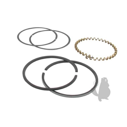 [232576] Jeu de segments adaptable pour KOHLER K-181 8 ch.. Remplace origine: 232576, 5707169, 570-7169