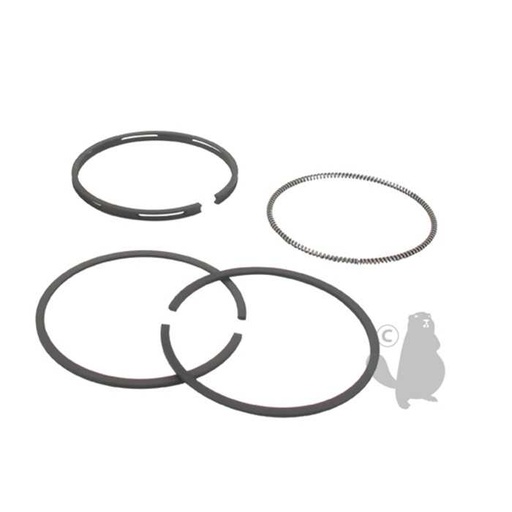 [493261] Jeu de segment adaptable pour BRIGGS et STRATTON QUANTUM 127000 à 129800. Remplace origine: 493261, 5707149, 570-7149