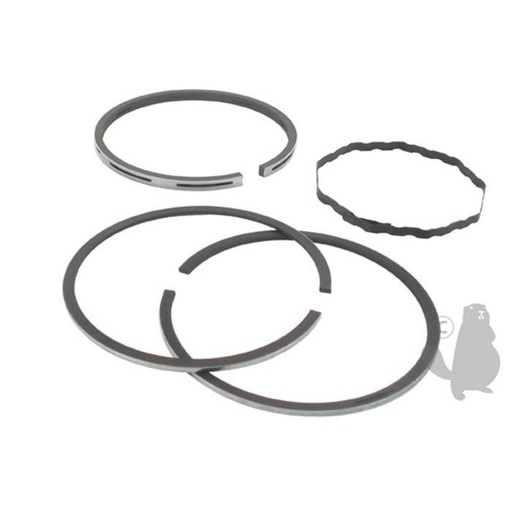 [390486] Jeu de segment adaptable pour BRIGGS et STRATTON 320420 à 320428 325430 à 325438 326400 à 326499 , 5707153, 570-7153