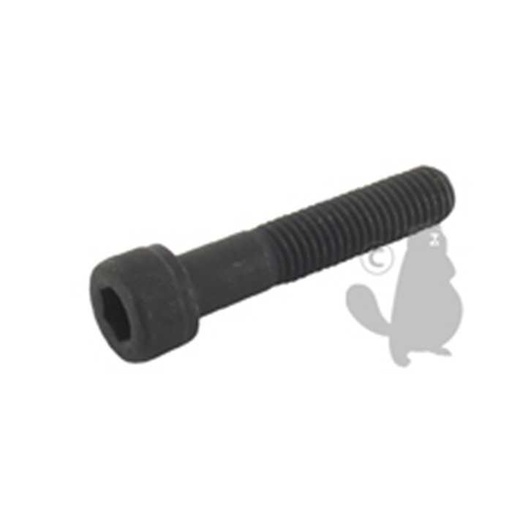 [29825] Vis de Lame à tête Inbus pour SABO - L: 50mm diam : 10mm. Remplace origine: 29825 30115 SA29825 e, 30115, 6403920, SA30115, SA29825, 640-3920